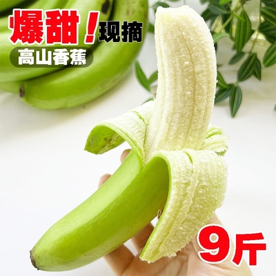 广西威尼斯高山甜香蕉青绿皮香蕉自然熟新鲜当季孕妇水果软糯香甜