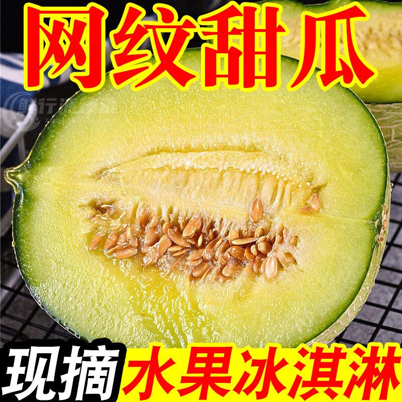 【商超甜瓜】正宗网纹蜜瓜冰淇淋甜瓜新鲜现摘当季水果整箱甜整箱