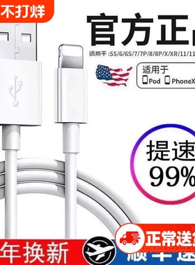 苹果充电线数据线适用iPhone16/17/15promax正品141317器头PD30w手机11/XR快充8p车载iPad平板12闪充2米原7装