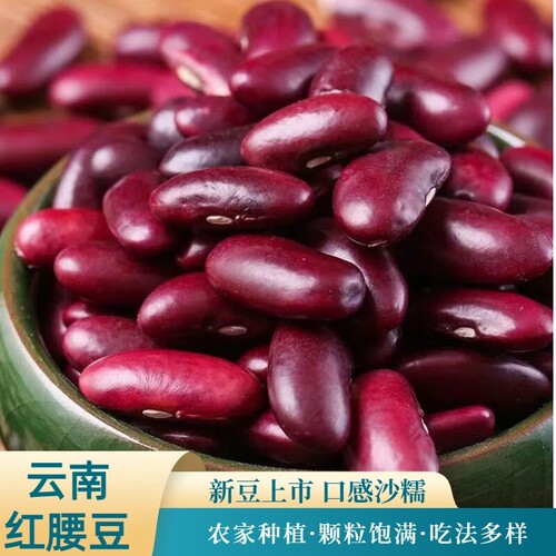 红腰豆红芸豆云南特产红豆煮粥农家自种五谷杂粮豆子源头优质食用