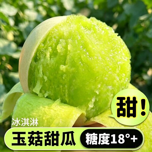 山东玉菇甜瓜新鲜水果应当季整箱冰淇淋哈密瓜香瓜10斤批发包邮