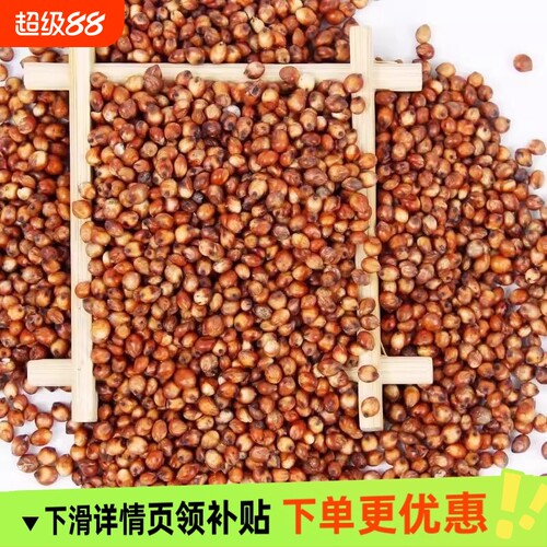 红高粱红缨子东北糯高粱