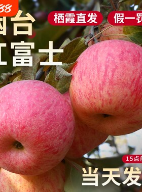 苹果正宗烟台红富士新鲜脆甜多汁当季鲜果整箱产地直发实惠9斤