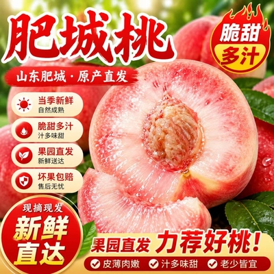 正宗肥城桃新鲜现摘大红袍玉妃大果整箱包邮鲜果礼盒装