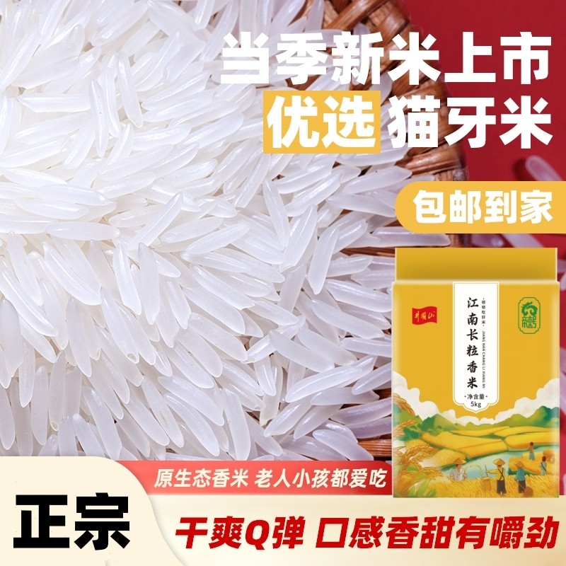 猫牙米长粒香米官方旗舰店大米2025年新米泰国香米丝苗米油粘10斤,粮油调味/速食/干货/烘焙,大米,淘宝优惠券,粉丝福利购,淘宝优惠卷