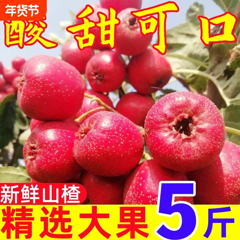 新鲜山楂果金星现摘现发当季水果纯农家鲜山楂开胃红果可做糖葫芦,水产肉类/新鲜蔬果/熟食,其它,淘宝优惠券,粉丝福利购,淘宝优惠卷