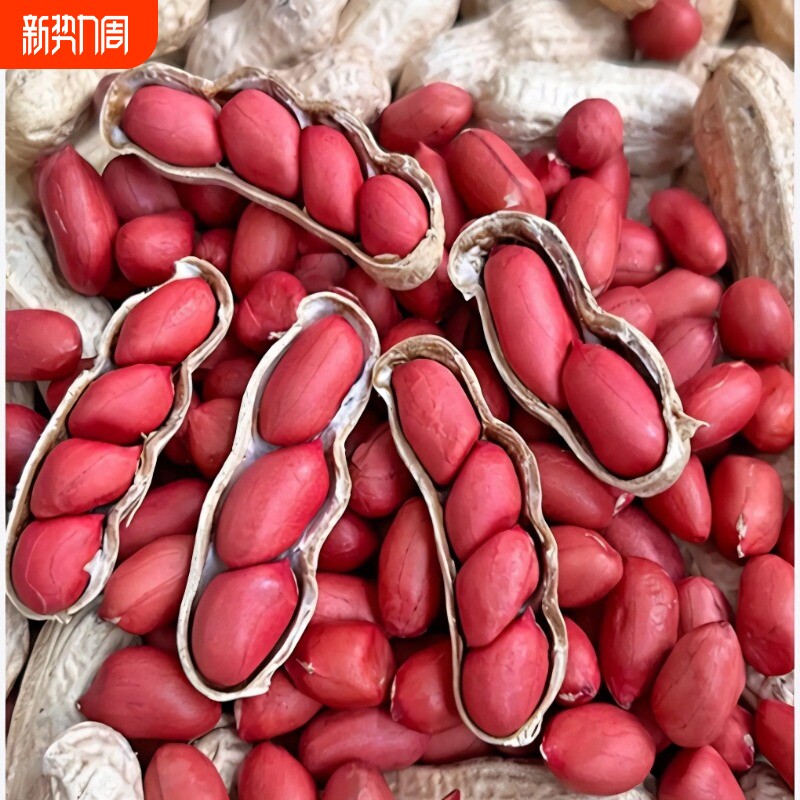 2025年带壳新货红皮花生果农家自种原味生花生米自然晒干生四粒红