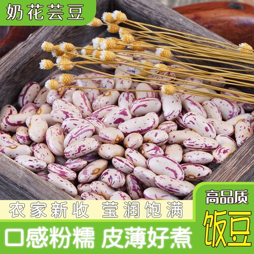 奶花芸豆农家自产雀蛋豆奶白花豆腰豆饭豆杂粮紫花熊猫豆新鲜