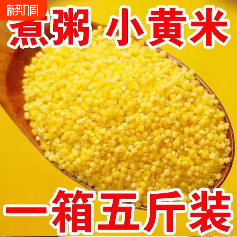东北黄小米养胃农家新鲜糯小米月子五谷杂粮小黄大黄米黍米煮粥