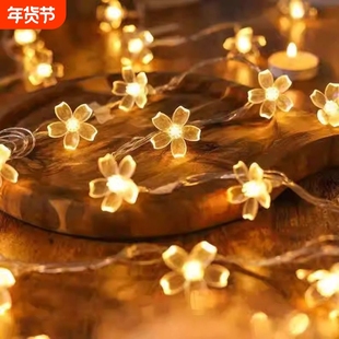 太阳能LED灯串灯小彩灯带户外庭院花园氛围灯装饰灯防水彩色灯光