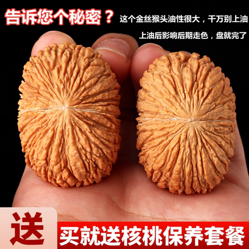 盘玩野外生近正圆手搓金丝猴头