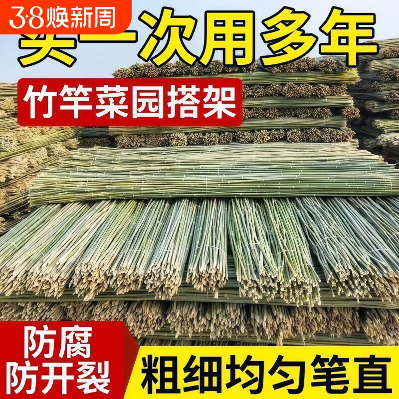 小竹杆爬藤架竹竿菜园搭架豆角支架竹篱笆栅栏彩旗竹竿子花架围栏