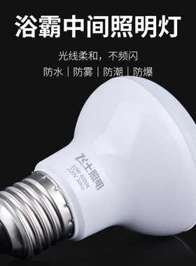 浴霸中间LED灯泡E27螺口超亮节能