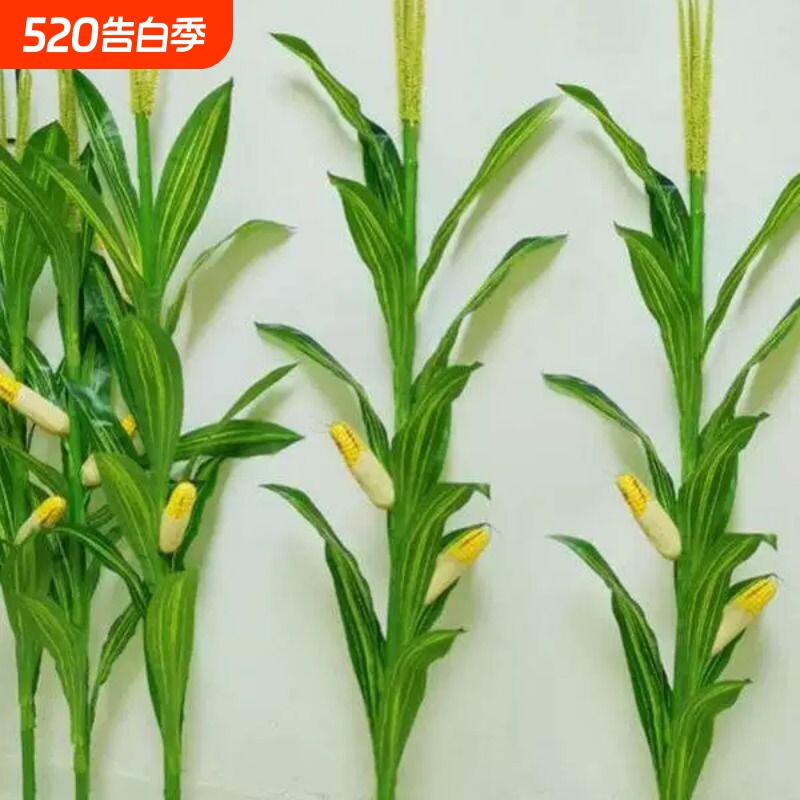 仿真玉米树假玉米杆田园植物造景展厅装饰博物馆摆放拍摄道具玉米