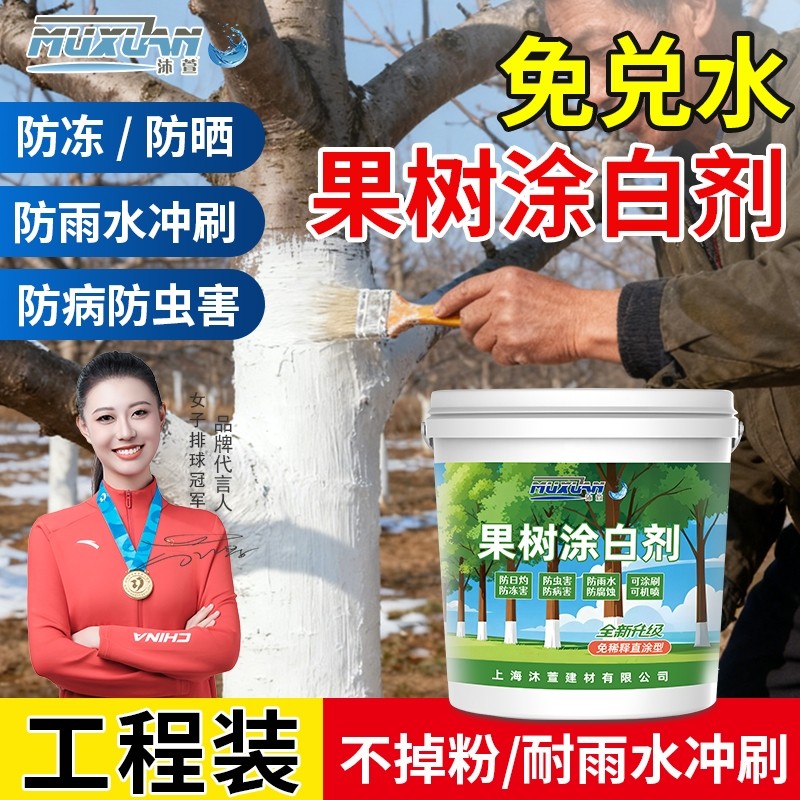 果树涂白剂防虫防冻大树木涂白挤石灰粉刷树白灰涂树保护防寒冬季