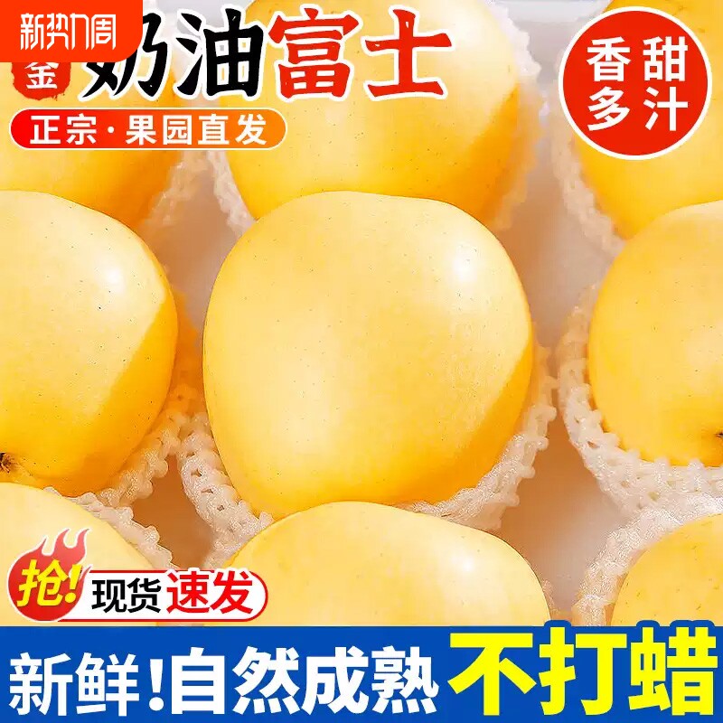 黄金奶油富士苹果9斤新鲜水果山东烟台牛奶脆甜平果整箱包邮直发