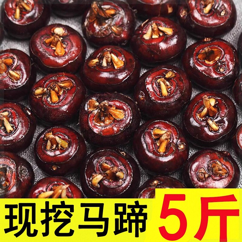 安徽马蹄荸荠农家现挖去泥水晶大果蔬菜水果包邮农家自种红