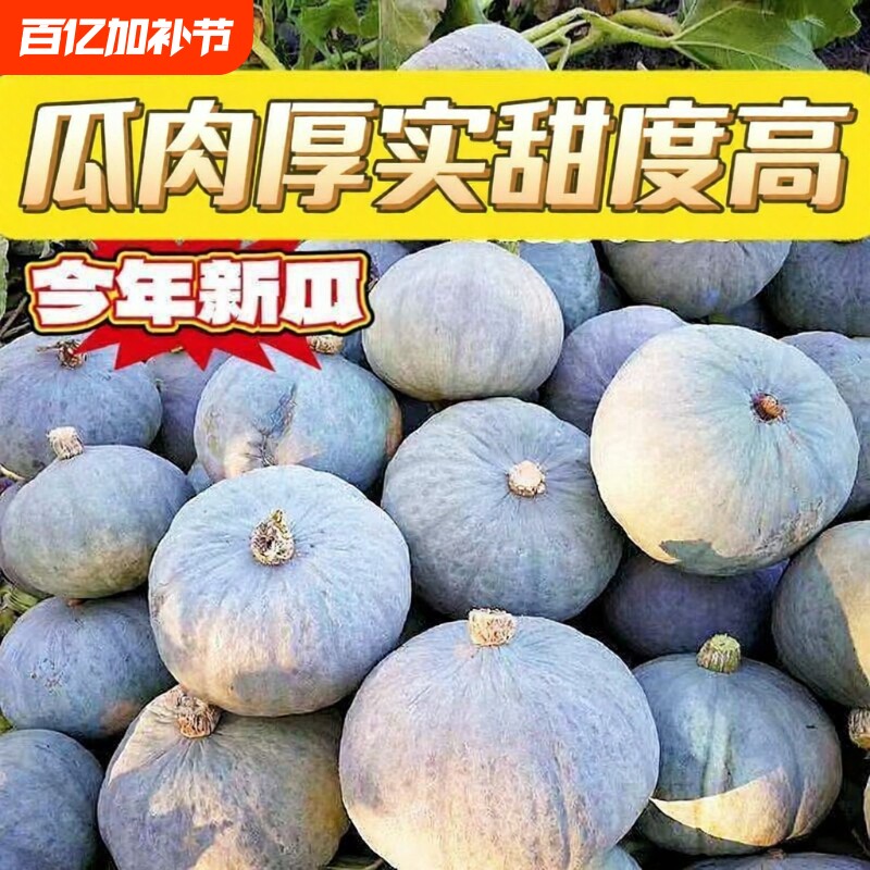 新疆银栗南瓜新鲜板栗南瓜金丝老瓜非贝贝孕妇宝宝辅食产地直发