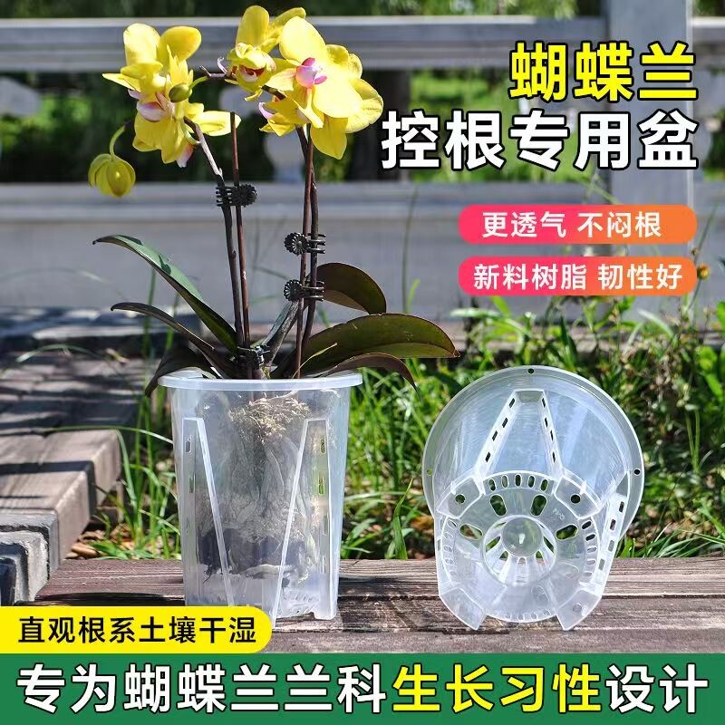 透明控根盆青山盆蝴蝶兰树脂花盆兰水苔塑料透气镂空大号家用托盘图片