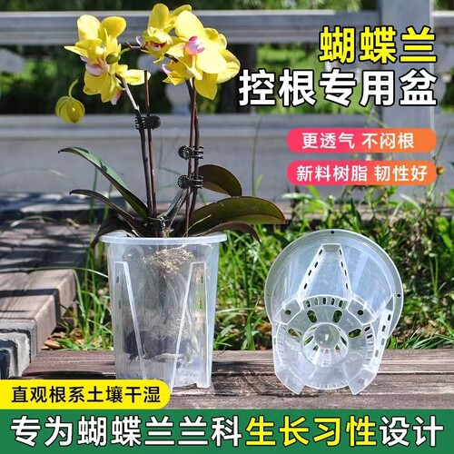 透明控根盆青山盆蝴蝶兰树脂花盆兰水苔塑料透气镂空大号家用托盘