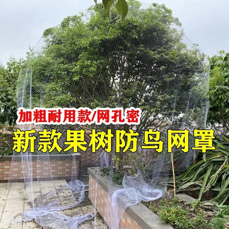 新款嘉宝果树网罩防鳥罩樱桃套袋网套防鸟抗老化
