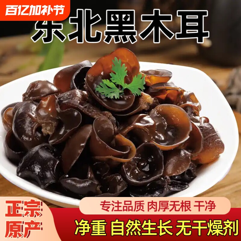 东北黑木耳干货500g包邮椴木秋木耳小碗耳凉拌菜长白山年货配菜