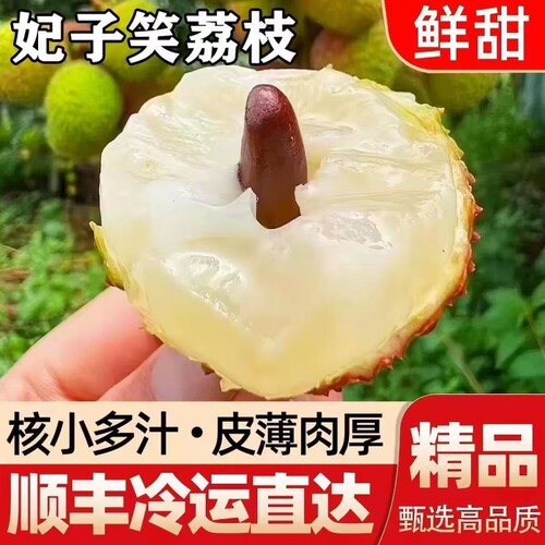 顺丰冷链直发妃子笑荔枝新鲜时令现摘现发当季老树大果整箱