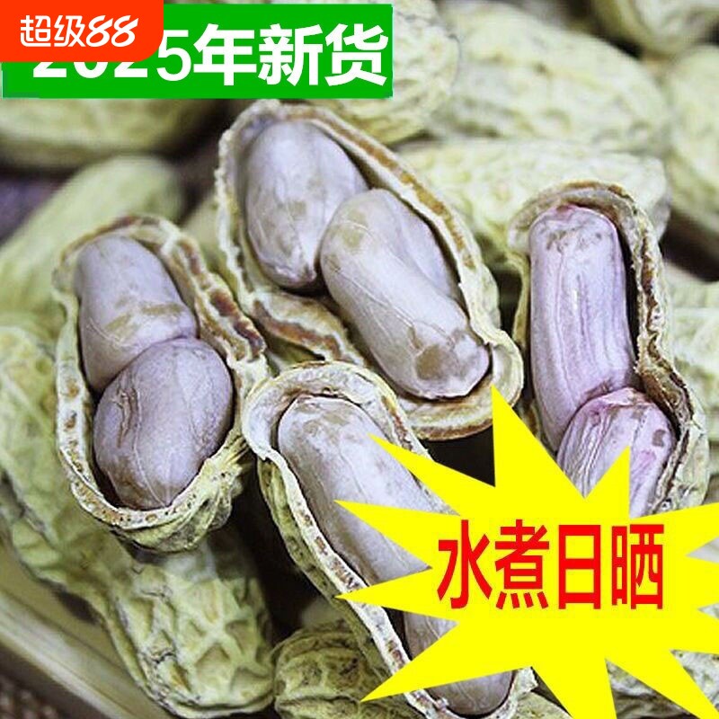 水煮花生咸干龙岩带壳晒坚果原味蒜香小零食五香健康不上火新鲜