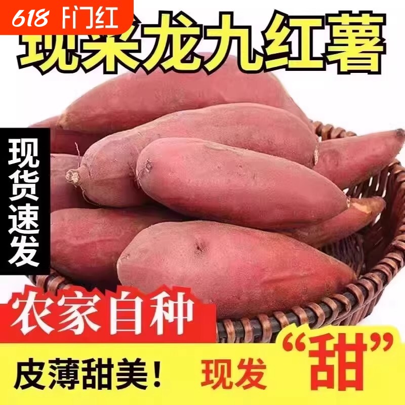 正宗龙九红薯蜜薯沙地新鲜黄皮黄心河南番薯甜糯地瓜自种软糯甜蜜