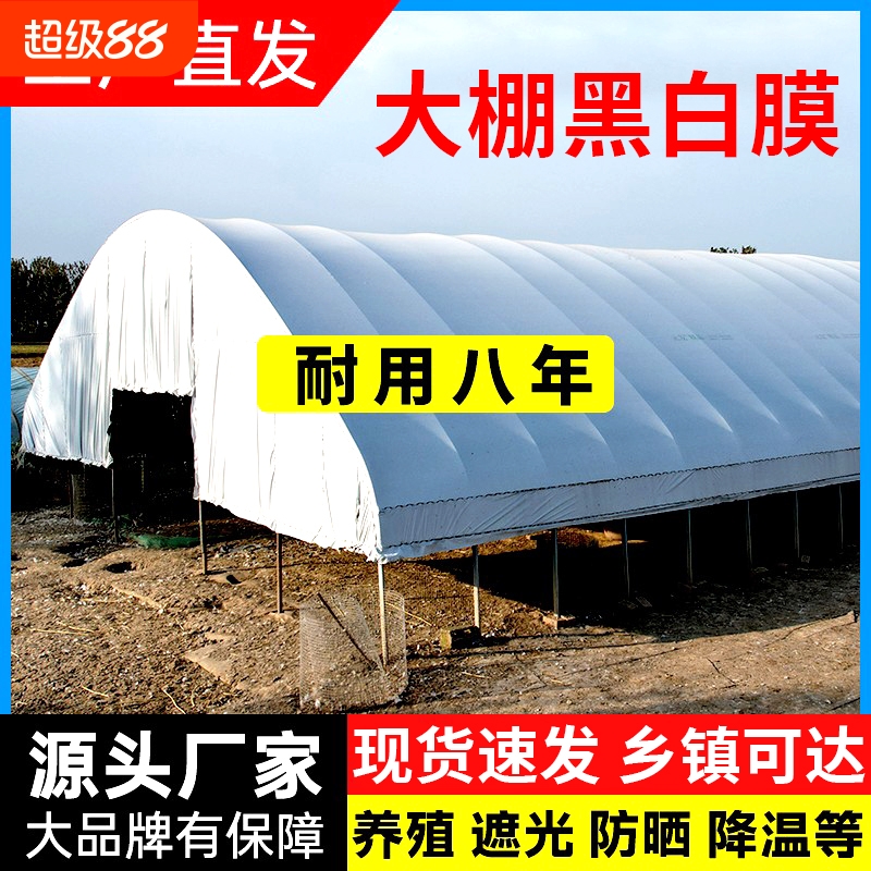 进口加厚大棚黑白膜养殖隔热降温反光膜防渗鱼塘大棚膜防水遮阳