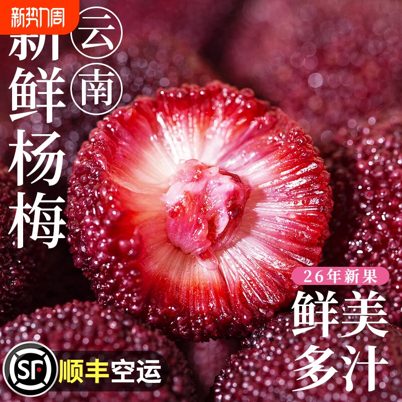 杨梅新鲜水果现摘应季鲜果优质大果冰杨梅泡酒顺丰空运包邮孕妇