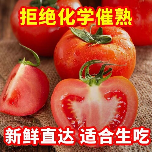 正宗云南沙瓤西红柿老人儿童番茄