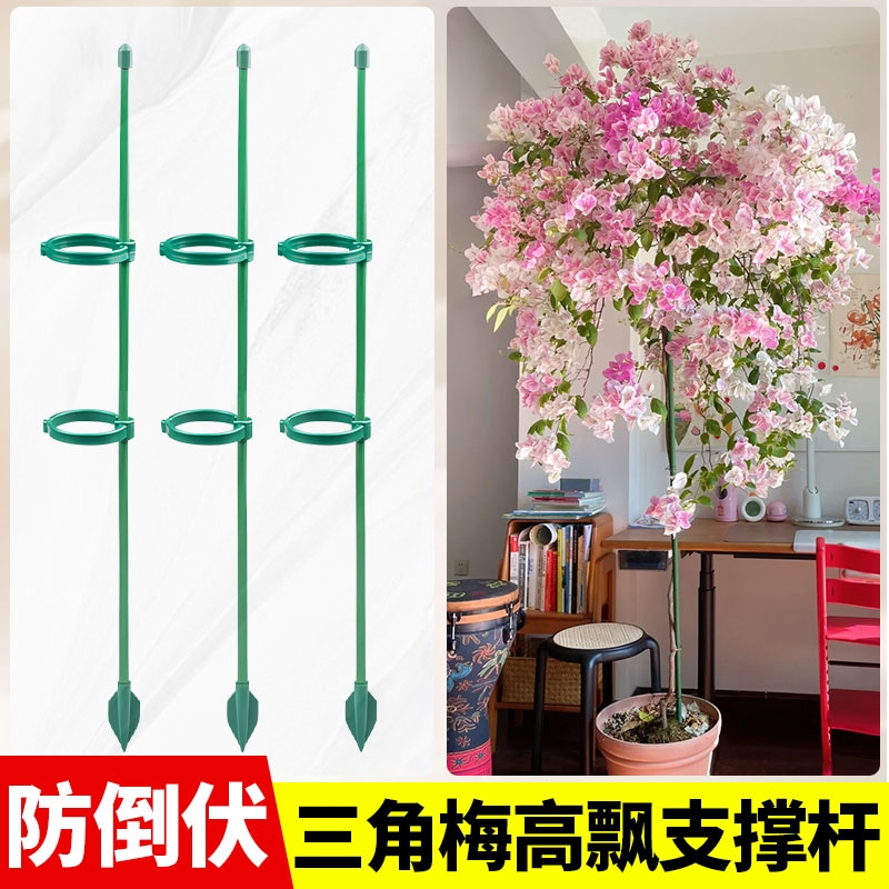 三角梅高飘支撑杆爬藤架植物固定