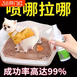 狗狗定点排便神器上厕所诱导剂防止乱拉屎大小便训练宠物固定加高
