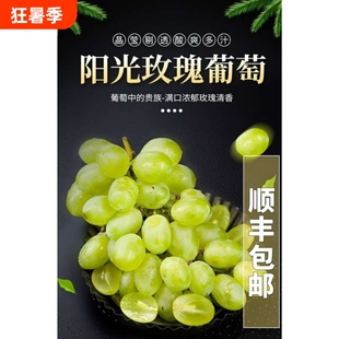 当季阳光玫瑰葡萄新鲜青提5斤