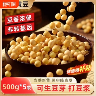 黄豆打豆浆专用农家自种东北非转基因新小黄豆批发老品种大豆新货