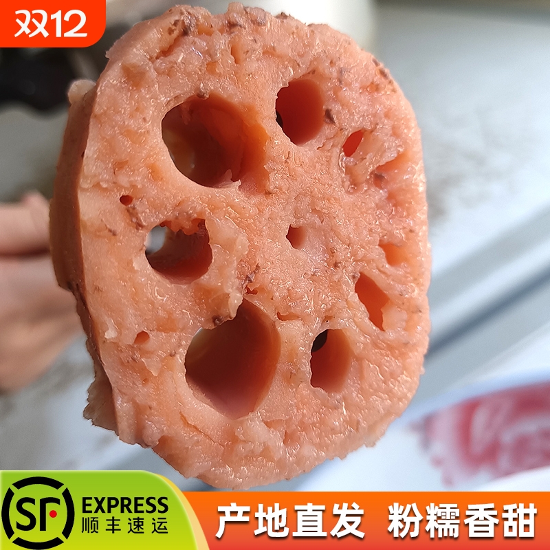 正宗洪湖莲藕新鲜现挖糯米藕煲汤粉糯炖汤湖北特产九孔粉藕红莲藕