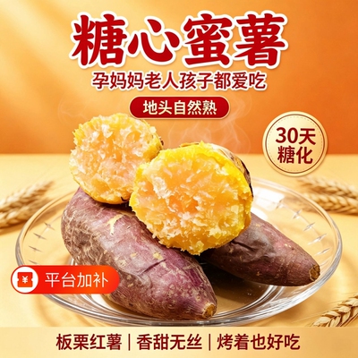 正宗沂蒙山小香板栗薯新鲜沙地板栗蛋蛋果临安软糯香甜地瓜整箱