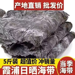 福建霞浦特产日晒干海带干货非特级厚昆布丝煲汤商用凉拌无沙散装