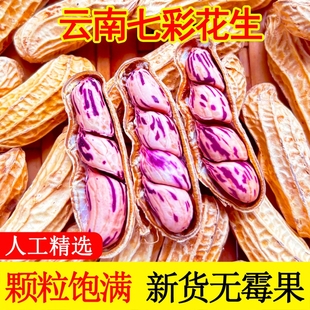 七彩花生米云南普洱特产带壳晒干2025新货生熟原味咸干五彩花生