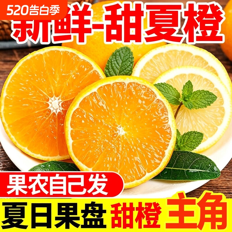 【现摘夏橙】新鲜湖南江永夏橙蜜橙新鲜水果柑橘榨汁手剥橙子大果