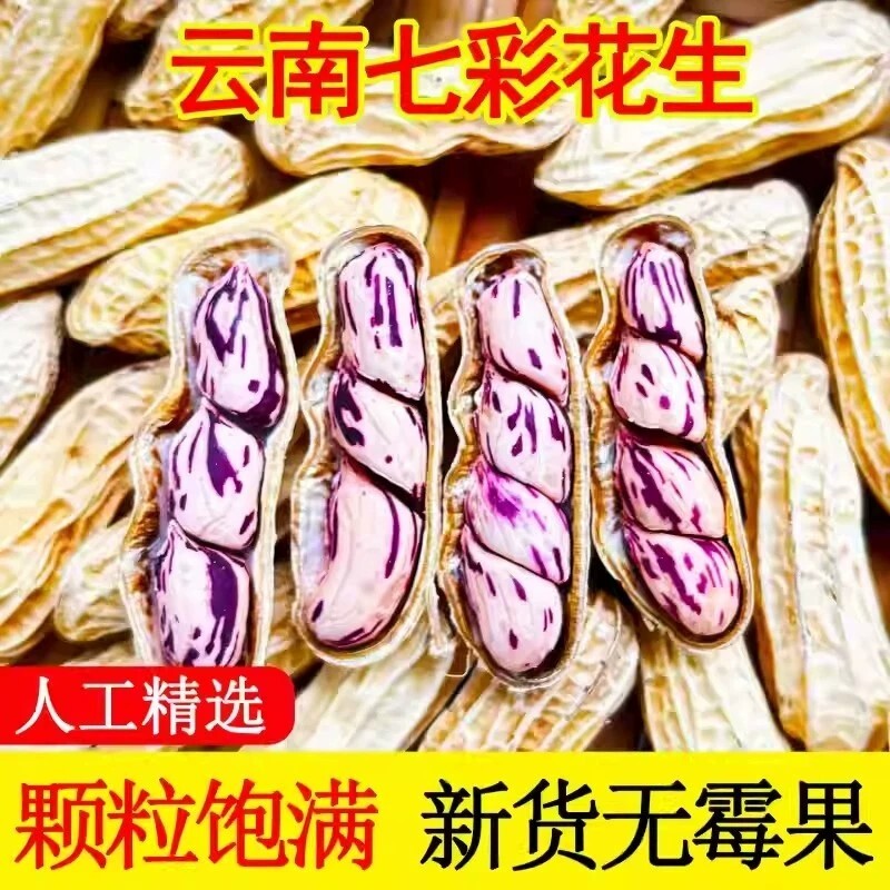 七彩花生奶香熟晒干带壳图片
