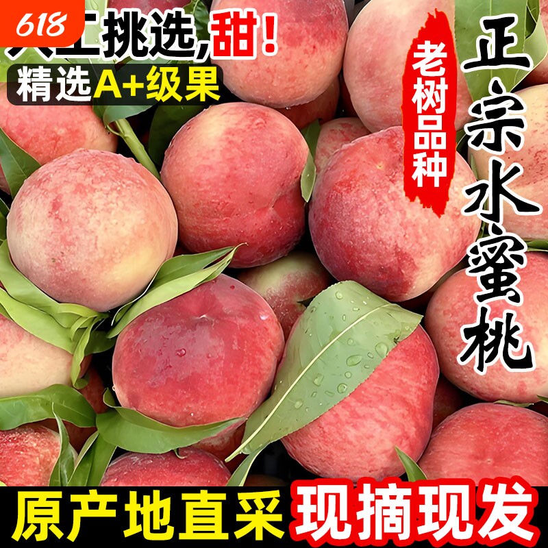 新鲜水蜜桃现摘毛桃蜜桃脆桃宝宝孕妇水果自然熟脆甜桃子天水产地