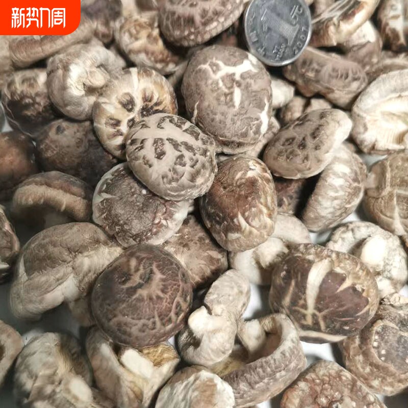 自然生长香菇花菇滑嫩爽口冬菇已剪菇脚无根肉厚香菇干货