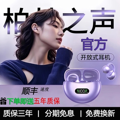柏林之声高音质夹耳式运动高降噪