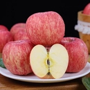 正宗陕西洛川苹果红富士孕妇水果时令脆甜一级果整箱 新鲜 当季