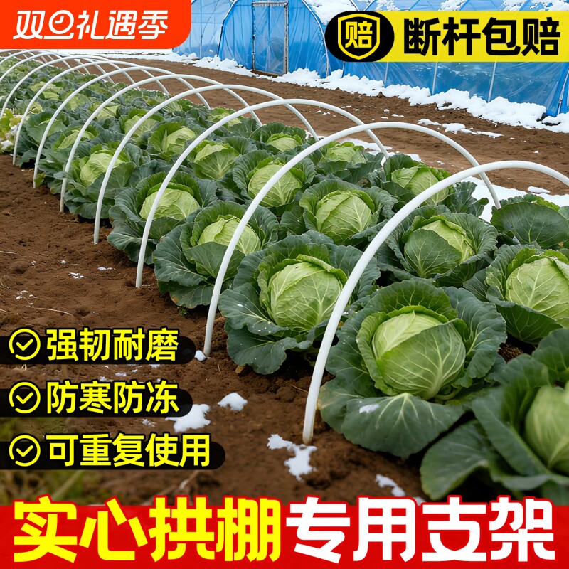 拱棚支架玻璃纤维菜地菜园农用家用拱条大棚拱杆骨架保温暖棚防冻