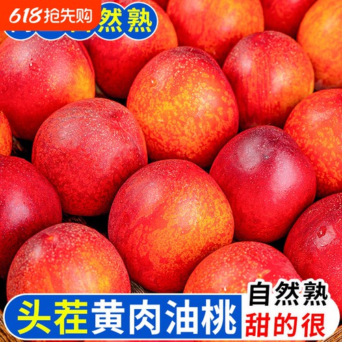 黄心油桃  湖北大桃子新鲜水果当季水密桃黄肉孕妇蜜脆桃脆甜多汁