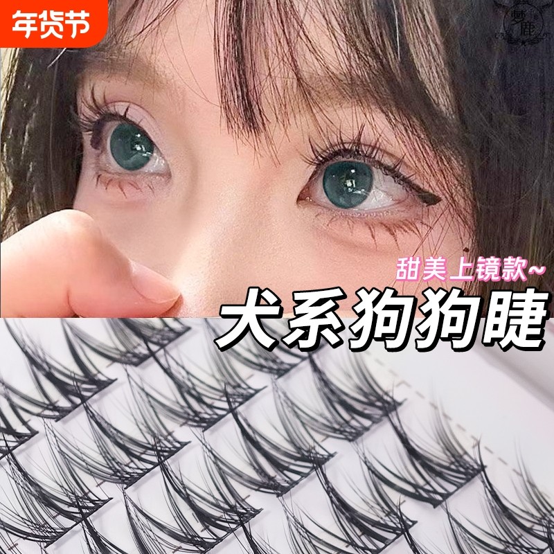 狐系假睫毛胶水自粘睫毛女自然仿真犬系太阳花韩系热卖免胶浓密