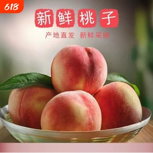 2026头茬安徽水蜜桃新鲜桃子3斤